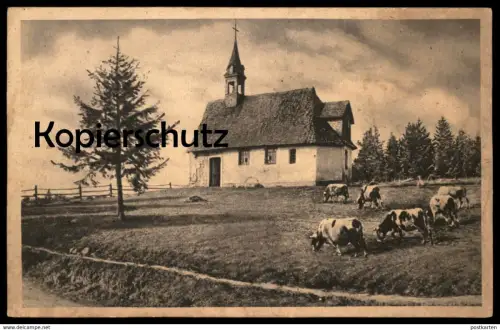 ALTE POSTKARTE MARTINSKAPELLE BEI TRIBERG SCHÖNWALD FURTWANGEN SCHWARZWALD Kuh Kühe cow cows cpa postcard AK