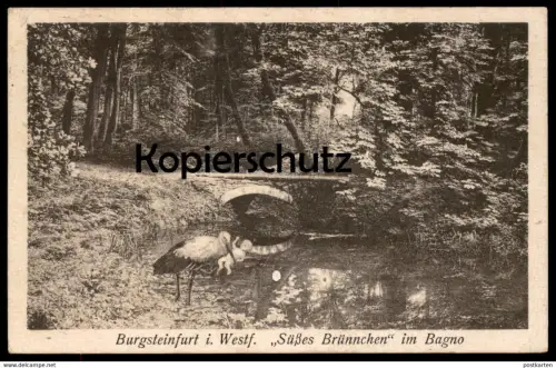 ALTE POSTKARTE BURGSTEINFURT SÜSSES BRÜNNCHEN IM BAGNO STORCH KIND stork cigogne Baby enfant montage photo cpa postcard