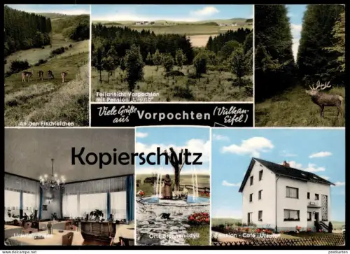 ÄLTERE POSTKARTE VORPOCHTEN EIFEL ULMEN PENSION URSULA ORTS-BRUNNEN Hirsch Deer Chevreuil Roe Doe Ansichtskarte postcard