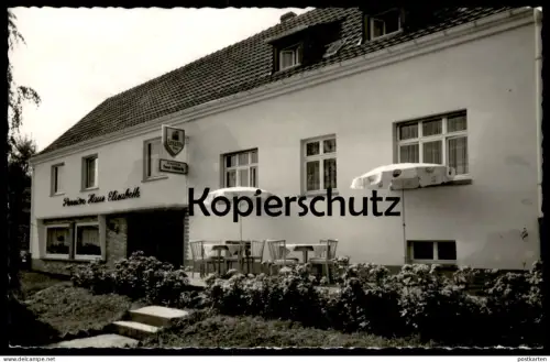 ÄLTERE POSTKARTE DREIS EIFEL FREMDENPENSION HAUS ELISABETH BES. VINZENZ THIELTGES-BRABAND WITTLICH-LAND Ansichtskarte