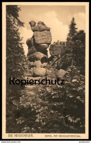 ALTE POSTKARTE DIE HEUSCHEUER KAMEL MIT GROSSVATERSTUHL 1922 Szczeliniec Wielki Polska Poland postcard cpa AK