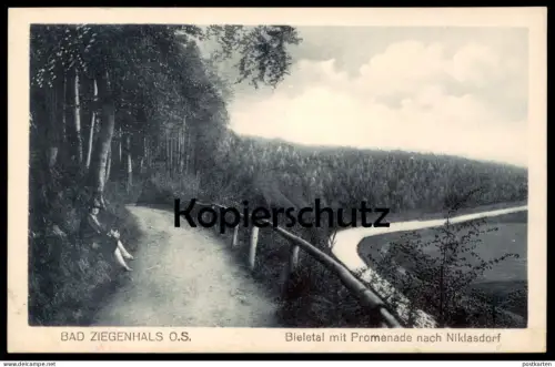 ALTE POSTKARTE BAD ZIEGENHALS BIELETAL MIT PROMENADE NACH NIKLASDORF SCHLESIEN Głuchołazy Polska Poland postcard cpa AK