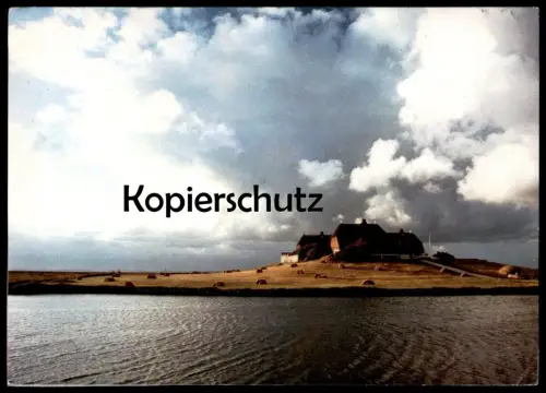ÄLTERE POSTKARTE HALLIG HOOGE WESTERWARFT AUFNAHME UW OLDAG STEMPEL HEIMATMUSEUM Ansichtskarte AK cpa postcard