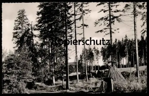 ÄLTERE POSTKARTE HOCHHARZ KÖHLERHÜTTE AN DER AUTOSTRASSE GOSLAR HAHNENKLEE Köhler Charburner Charbonnier Koehler Harz AK