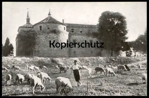 ÄLTERE POSTKARTE VITOCHA DAS RESTAURANT SLATNITE MOSTOVE Bulgaria Bulgarie Bulgarien Witoscha Ansichtskarte AK postcard