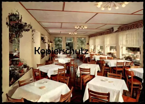 ÄLTERE POSTKARTE DREIS VULKANEIFEL HOTEL BEIM HOLZSCHNITZER BESITZER FERDINAND WIERZ WITTLICH-LAND AK Ansichtskarte cpa