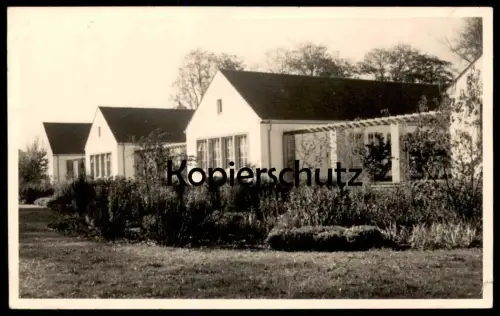 ALTE FOTO POSTKARTE BORGHORST GEBÄUDE HAUS REIHENHÄUSER 1954 Steinfurt AK Ansichtskarte cpa photo postcard