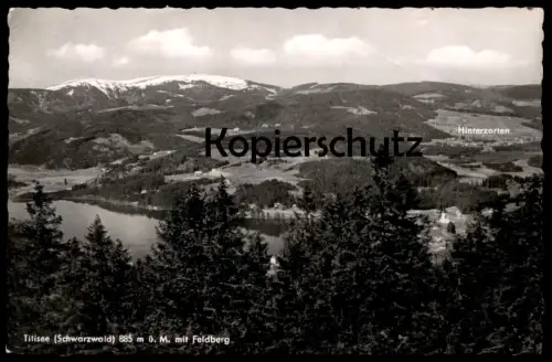 ALTE PRÄGE POSTKARTE DACKEL VERMENSCHLICHT HERZLICHEN GLÜCKWUNSCH ZUM GEBURTSTAG Kuss Hund Dachshund Teckel dog chien AK