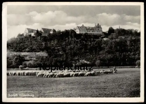 ALTE POSTKARTE QUERFURT SCHLOSS VITZENBURG SCHAFE SCHAF SCHÄFER MIT HÜTEHUNDEN castle Ansichtskarte AK cpa postcard