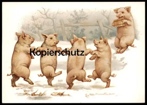 POSTKARTE SCHWEINE TANZEN PANFLÖTE VERMENSCHLICHT pig cochon maiale Schwein porc Flöte pan flute Ansichtskarte postcard