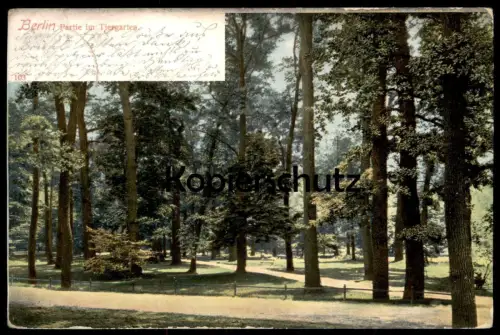 ALTE POSTKARTE BERLIN PARTIE IM TIERGARTEN 1904 PARK TIERPARK Ansichtskarte AK cpa postcard