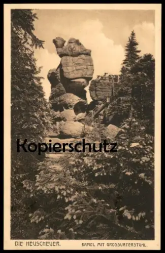 ALTE POSTKARTE DIE HEUSCHEUER KAMEL MIT GROSSVATERSTUHL 1922 Szczeliniec Wielki Polska Poland postcard cpa AK