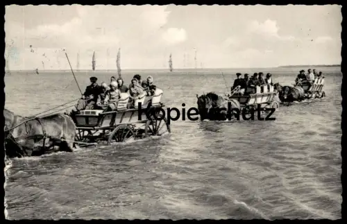 ÄLTERE POSTKARTE NORDSEEBAD CUXHAVEN DUHNEN WATTWAGEN ZUR INSEL NEUWERK PFERDE Kutsche horses coach horse-drawn-carriage