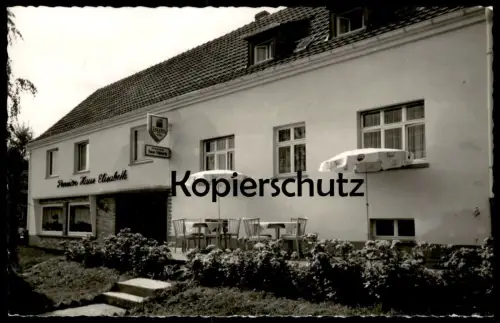 ÄLTERE POSTKARTE DREIS EIFEL FREMDENPENSION HAUS ELISABETH BES. VINZENZ THIELTGES-BRABAND WITTLICH-LAND Ansichtskarte