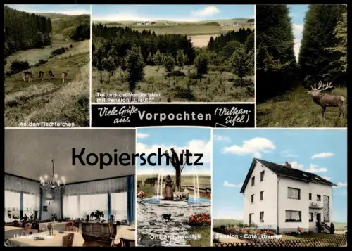 ÄLTERE POSTKARTE VORPOCHTEN EIFEL ULMEN PENSION URSULA ORTS-BRUNNEN Hirsch Deer Chevreuil Roe Doe Ansichtskarte postcard