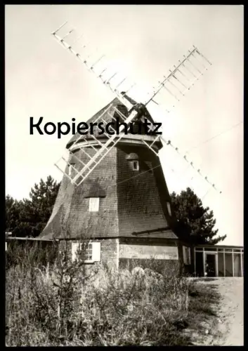 ÄLTERE POSTKARTE GNOIEN KREIS TETEROW HO-GASTSTÄTTE ZUR WINDMÜHLE Mühle Molen Mole moulin windmill mill AK Ansichtskarte