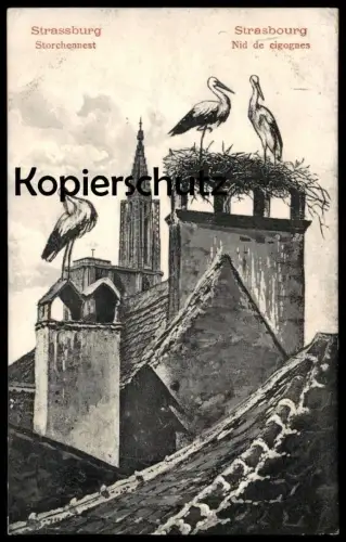 ALTE POSTKARTE STRASSBURG STRASBOURG NID DE CIGOGNES STORCH Cigogne Vogel Bird Stork Alsace Elsass cpa postcard AK
