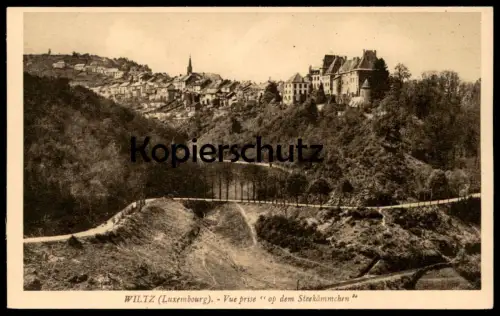 ALTE POSTKARTE WILTZ VUE PRISE OP DEM STEEKÄMMCHEN Wols bei Diekirch Luxemburg Luxembourg cpa postcard AK Ansichtskarte