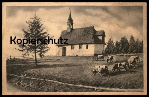 ALTE POSTKARTE MARTINSKAPELLE BEI TRIBERG SCHÖNWALD FURTWANGEN SCHWARZWALD Kuh Kühe cow cows cpa postcard AK