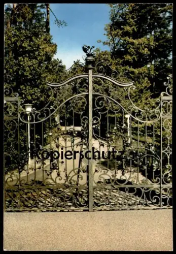 POSTKARTE BAD KISSINGEN REITERSWIESEN ROSENTOR VON PETER DEEG Tor door Rose flower fleur cpa postcard AK Ansichtskarte