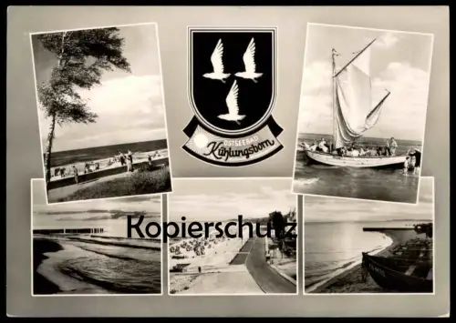 ÄLTERE POSTKARTE KÜHLUNGSBORN SEGELSCHIFF DIANA Wappen Möwe sailing boat bateau à voiles blason gull mouette postcard AK