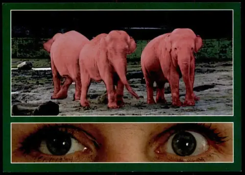 POSTKARTE ROSA ELEFANTEN Alkohol Elefant Elephant Elephants Drogen drugs Eyes Alcool Alcohol postcard Humor Humour