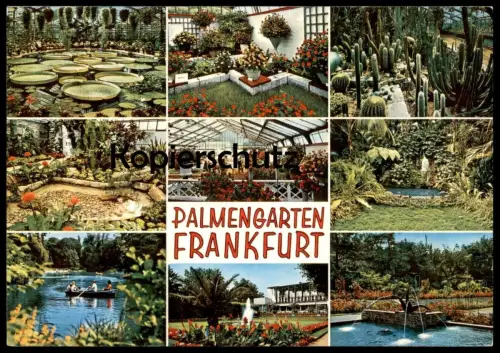 POSTKARTE PALMENGARTEN FRANKFURT Garten Garden jardin Blumen Kaktus Kakteen Seerose water lily flowers nymphea cactus AK