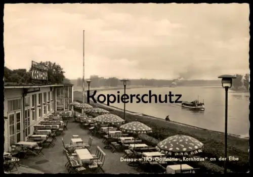 ÄLTERE POSTKARTE DESSAU HO GASTSTÄTTE KORNHAUS AN DER ELBE Dampfer Schiff Steamship ship bateau à vapeur cpa postcard AK