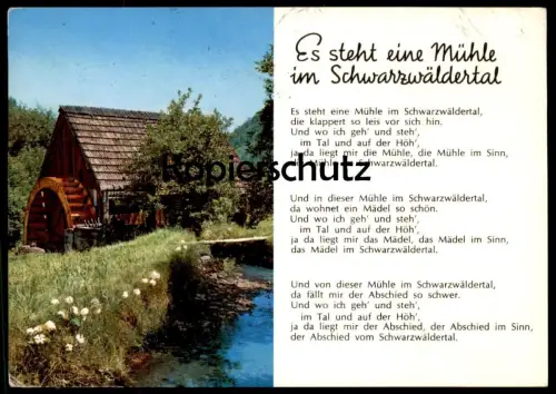 POSTKARTE MÜHLE IM SCHWARZWÄLDERTAL SCHWARZWALD Black Forest Foret-Noire molen moulin mill cpa postcard AK Ansichtskarte