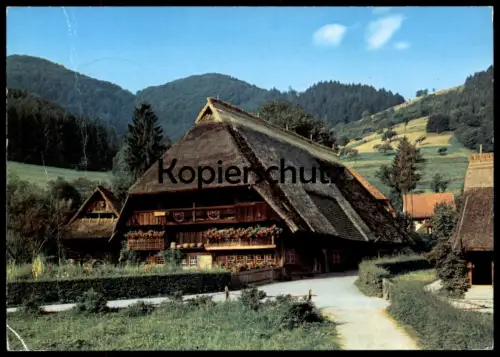 ÄLTERE POSTKARTE SCHWARZWALD SCHWARZWALDHAUS 1987 BAUERNHAUS Biene Bee abeille cpa postcard AK Ansichtskarte