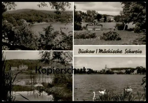 ÄLTERE POSTKARTE BUCKOW MÄRKISCHE SCHWEIZ SCHWÄNE SCHWAN Brandenburg Kreis Strausberg cpa postcard AK Ansichtskarte