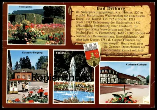 ÄLTERE POSTKARTE BAD DRIBURG CHRONIKKARTE Wappen & Geschichte sowie Rosengarten Chronik chronique chronicle cpa AK