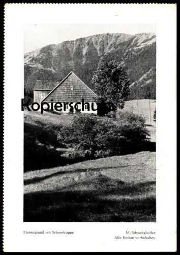 ÄLTERE POSTKARTE RIESENGEBIRGE RIESENGRUND MIT SCHNEEKOPPE M. SCHWEIGHOFFER Pec Pod Snezkou Obri dul postcard cpa AK