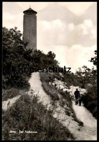 ÄLTERE POSTKARTE JENA FUCHSTURM SCHAFHERDE SCHAFE SCHÄFER HÜTEHUND Sheep shepherd Brebis Schaf Turm troupeau de moutons