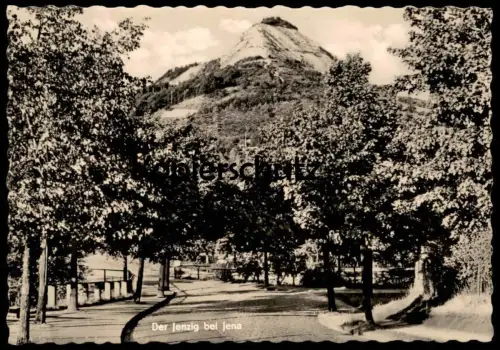 ÄLTERE POSTKARTE DER JENZIG BEI JENA ALLEE Berg Hügel alley cpa postcard AK Ansichtskarte