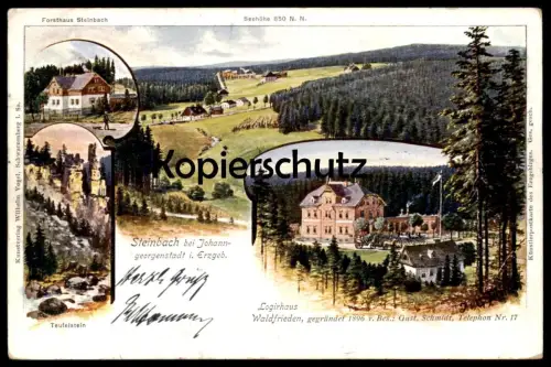 ALTE LITHO POSTKARTE STEINBACH BEI JOHANNGEORGENSTADT LOGIRHAUS WALDFRIEDEN FORSTHAUS TEUFELSTEIN AK cpa Ansichtskarte