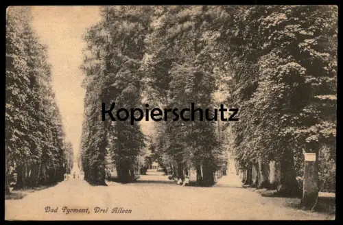 ALTE POSTKARTE BAD PYRMONT DREI ALLEEN Bäume Baum Allee alley tree arbre cpa postcard AK Ansichtskarte