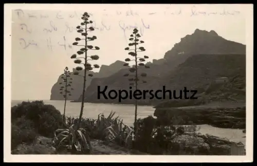 ÄLTERE POSTKARTE MALLORCA CALA DE SAN VICENTE POLLENSA BALEARES Pollenca Sant Vicenc 1952 tarjeta postal postcard AK