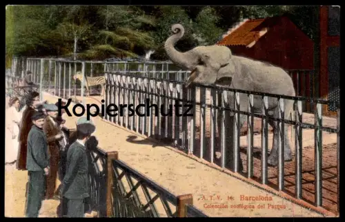 ALTE POSTKARTE BARCELONA JARDIN ZOOLOGIQUE ZOO PARQUE ZOOLOGICO ELEPHANT ZEBRA Zèbre Elefant Elefante Tusker Cebra cpa