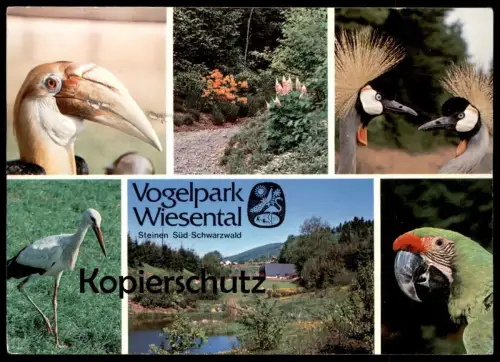 POSTKARTE VOGELPARK WIESENTAL TIERPARK STEINEN BEI LÖRRACH BIRD ZOO Garden Papagei Storch Tukan Parrot Perroquet AK cpa