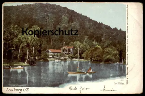 ALTE POSTKARTE FREIBURG DER WALDSEE RUDERER Boot Ruderboot Boat See Lake cpa postcard AK Ansichtskarte