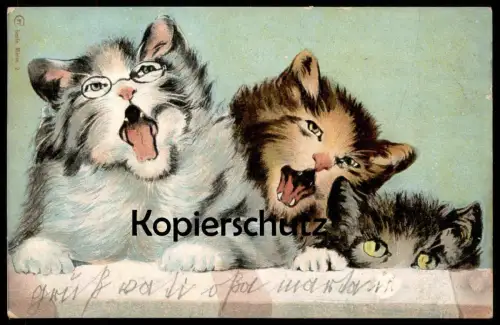 ALTE POSTKARTE VERMENSCHLICHTE FAUCHENDE KATZEN BRILLE TRAGEND Mieze glasses lunettes Katze angry cat cats chat postcard