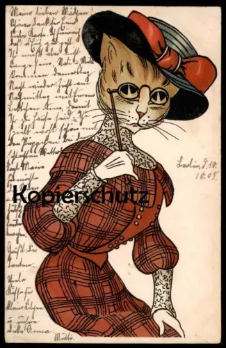 ALTE POSTKARTE KATZE ALS DIVA STRENG DAME VERMENSCHLICHT Brille Kostüm glasses lunettes Katzen Cat Chat Cats Chats cpa