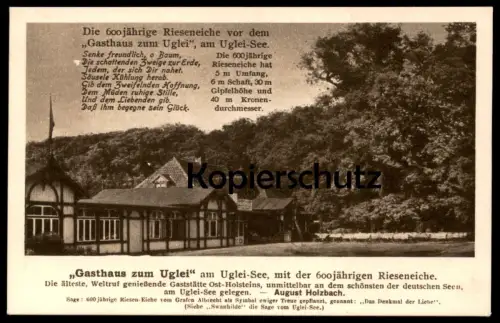 ALTE POSTKARTE GASTHAUS ZUM UGLEI 600 JAHRE ALTE EICHE UGLEISEE UKLEISEE EUTIN Baum Oak Tree Chene Arbre Gedicht cpa AK