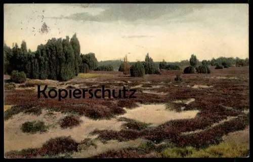 ALTE POSTKARTE LÜNEBURGER HEIDE ALFTENER FLATT BEI SOLTAU GRUSS AUS H. GAUSES GASTHAUS ZUM ANKER LÜNEBURG AK