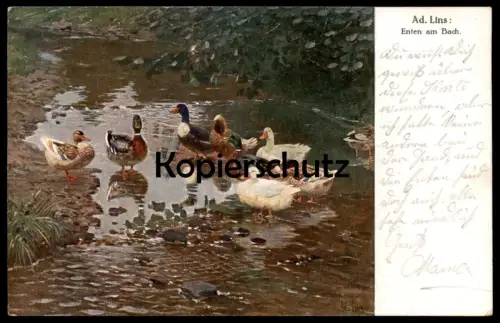 ALTE KÜNSTLER POSTKARTE ENTEN AM BACH SIGN. AD. ADOLF LINS 1926 Ente duck canard cane ducks canards