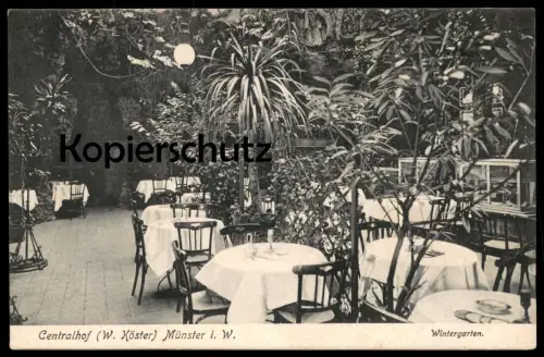 ALTE POSTKARTE MÜNSTER WESTFALEN CENTRALHOF W. KÖSTER WINTERGARTEN Restauration Ansichtskarte cpa postcard AK