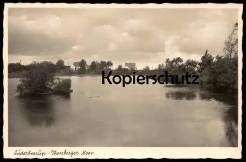 ALTE POSTKARTE SÜDERBRARUP THORSBERGER MOOR marécage Halbinsel Angeln b. Kappeln Schleswig postcard cpa Ansichtskarte