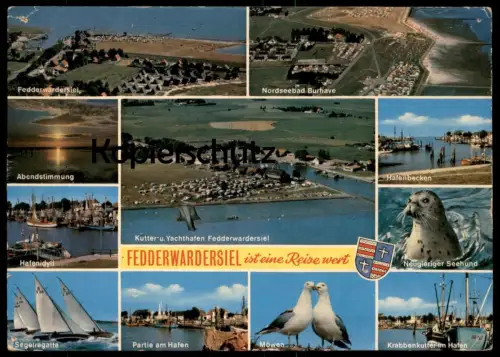 POSTKARTE FEDDERWARDERSIEL BURHAVE REGATTA HAFEN YACHTHAFEN MÖWEN KRABBENKUTTER KUTTER SEEHUND seal fishing postcard AK