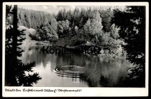 ALTE POSTKARTE WALD-SEE LUFTKURORT ASBACH WESTERWALD TEICH Kreise Spiegelung AK Ansichtskarte postcard cpa